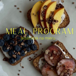 MEAL PROGRAM